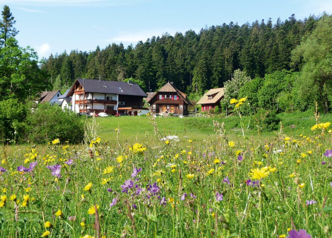Landhaus Anja 프로이덴슈타트 외부 사진